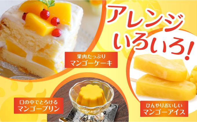 (2026年発送・先行予約)【マンゴーfarm新】 沖縄県南城市産マンゴー化粧箱1kg   I  マンゴー まんごー トロピカルフルーツ フルーツ ギフト 1000g 1kg  沖縄県 南城市