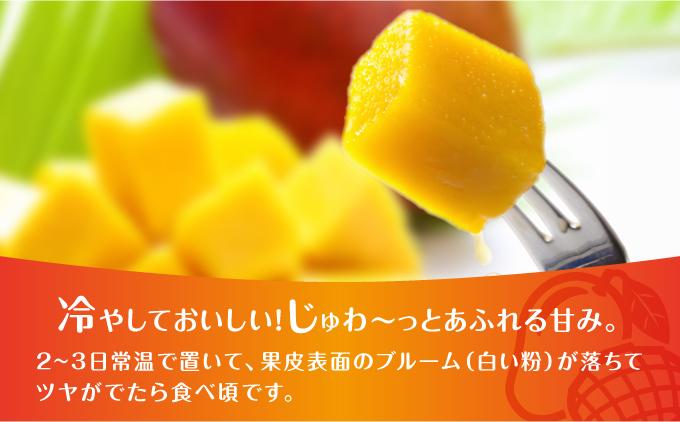 (2026年発送・先行予約)【マンゴーfarm新】 沖縄県南城市産マンゴー白箱2kg