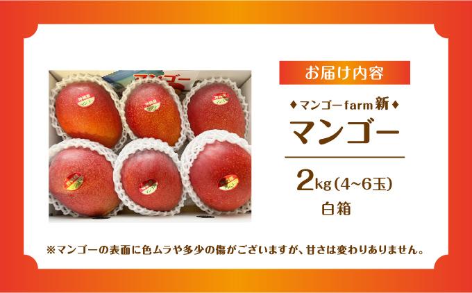 (2026年発送・先行予約)【マンゴーfarm新】 沖縄県南城市産マンゴー白箱2kg