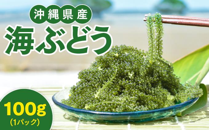 沖縄県産　海ぶどう　100g（ご自宅用）|海ぶどう 新鮮  お取り寄せ グリーンキャビア 沖縄県 南城市 有限会社板馬養殖センター