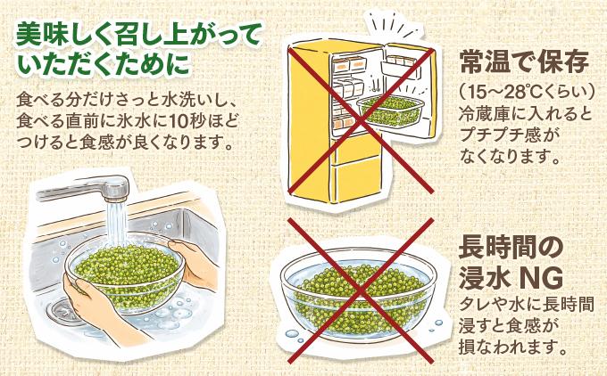沖縄県産　海ぶどう　100g（ご自宅用）|海ぶどう 新鮮  お取り寄せ グリーンキャビア 沖縄県 南城市 有限会社板馬養殖センター