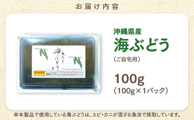 沖縄県産　海ぶどう　100g（ご自宅用）|海ぶどう 新鮮  お取り寄せ グリーンキャビア 沖縄県 南城市 有限会社板馬養殖センター