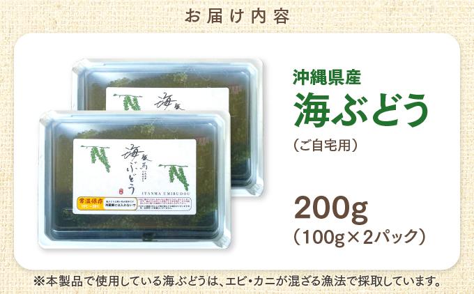沖縄県産　海ぶどう　100g× 2 パック（ご自宅用）|海ぶどう 新鮮 お取り寄せ グリーンキャビア 沖縄県 南城市 有限会社板馬養殖センター