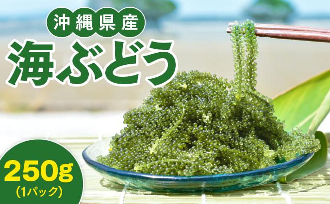 沖縄県産　海ぶどう　250g× 1 パック（ご自宅用）|海ぶどう 新鮮 お取り寄せ グリーンキャビア 沖縄県 南城市 有限会社板馬養殖センター
