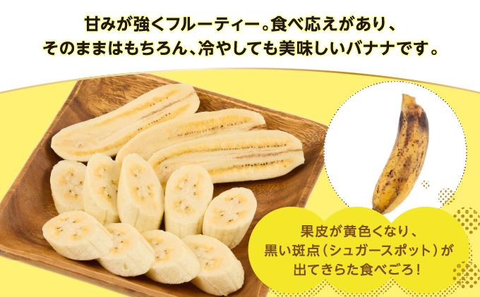 ナムワバナナ　1kg　定期便12回