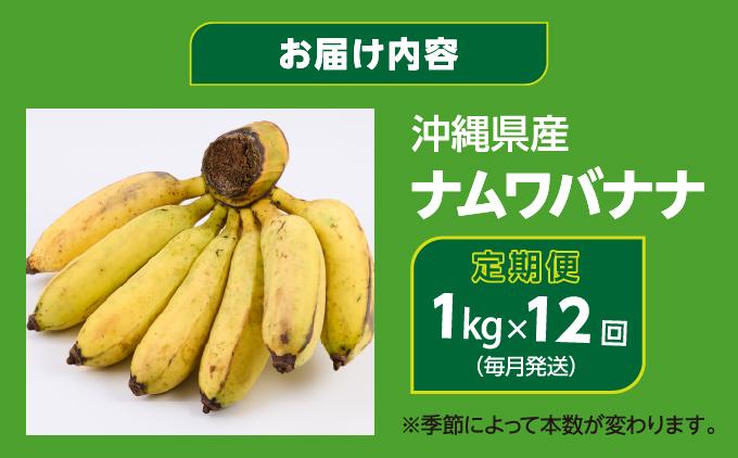 ナムワバナナ　1kg　定期便12回