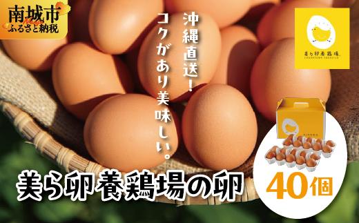 卵の黄身が掴めるほどの新鮮さ 美ら卵養鶏場の卵 40個【順次配送】