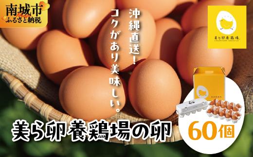卵の黄身が掴めるほどの新鮮さ 美ら卵養鶏場の卵 60個【順次配送】