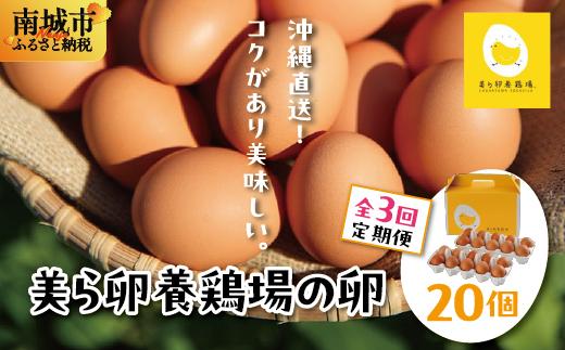 卵の黄身が掴めるほどの新鮮さ 美ら卵養鶏場の卵 20個【3ヶ月定期便】
