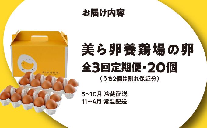 卵の黄身が掴めるほどの新鮮さ 美ら卵養鶏場の卵 20個【3ヶ月定期便】   I  たまご タマゴ  卵 美ら卵 養鶏場 美ら卵 新鮮  養鶏場  20個  沖縄県 南城市