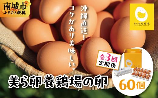 卵の黄身が掴めるほどの新鮮さ 美ら卵養鶏場の卵 60個【3ヶ月定期便】