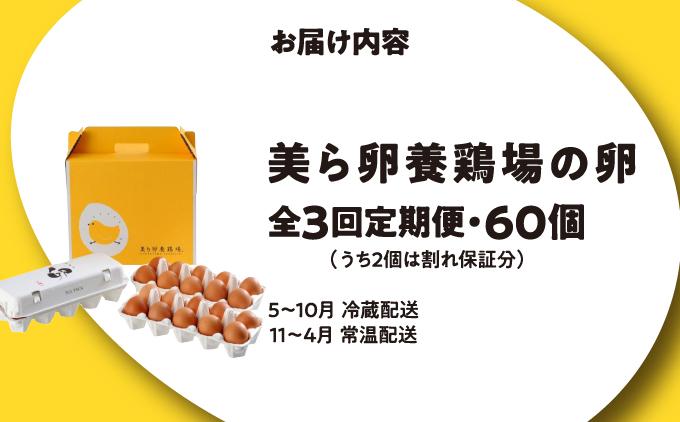 卵の黄身が掴めるほどの新鮮さ 美ら卵養鶏場の卵 60個【3ヶ月定期便】   I  たまご タマゴ  卵 美ら卵 養鶏場 美ら卵 新鮮  養鶏場  定期便   60個  沖縄県 南城市