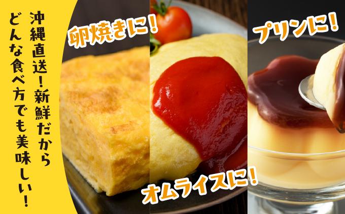 卵の黄身が掴めるほどの新鮮さ 美ら卵養鶏場の卵 120個【3ヶ月定期便】   I  たまご タマゴ  卵 美ら卵 養鶏場 美ら卵 新鮮  養鶏場  定期便   120個  沖縄県 南城市