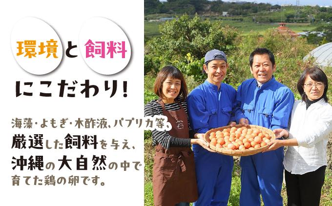 卵の黄身が掴めるほどの新鮮さ 美ら卵養鶏場の卵 40個【6ヶ月定期便】   I  たまご タマゴ  卵 美ら卵 養鶏場 美ら卵 新鮮  養鶏場  定期便   40個  沖縄県 南城市
