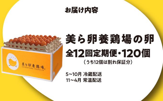 卵の黄身が掴めるほどの新鮮さ 美ら卵養鶏場の卵 120個【12ヶ月定期便】