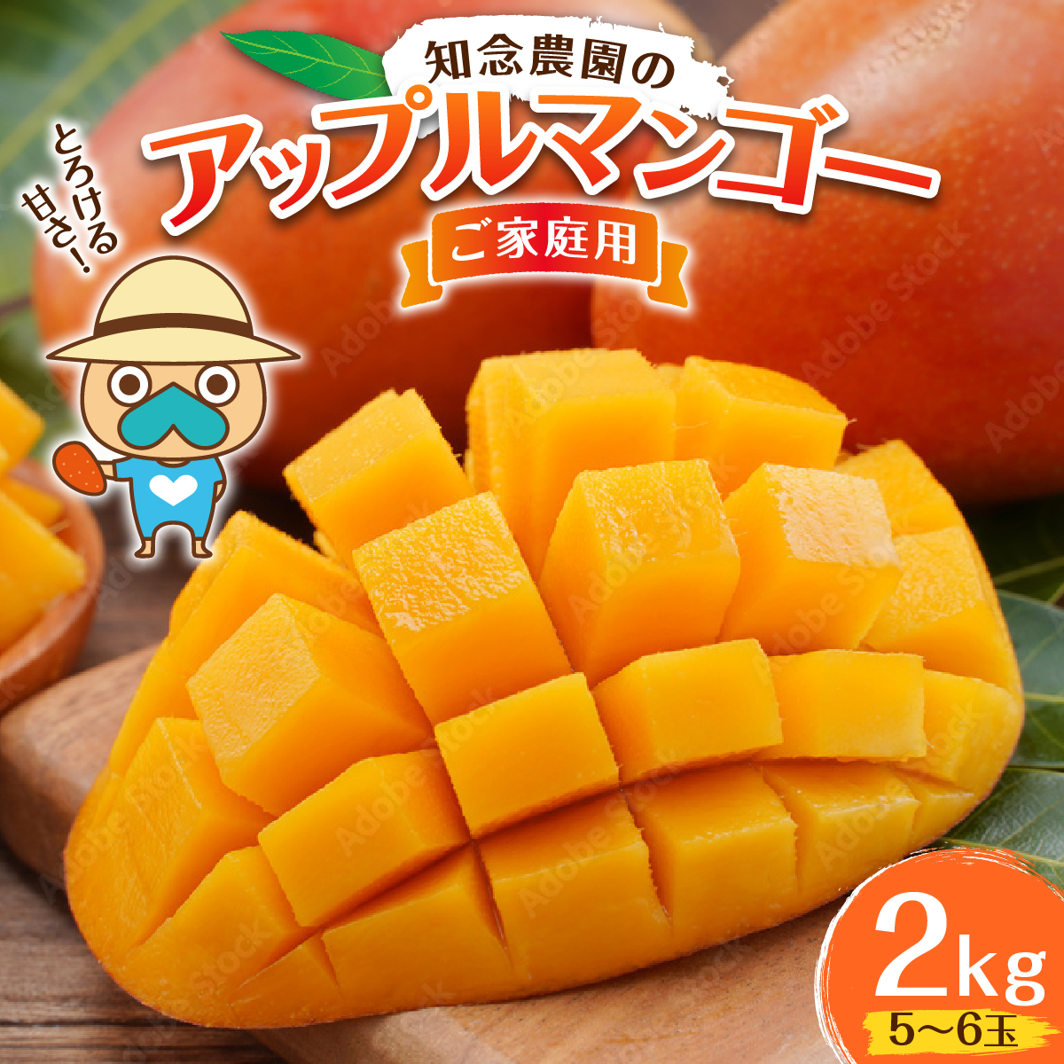 知念農園のアップルマンゴー（2kg）ご家庭用　5～6玉I マンゴー まんごー トロピカルフルーツ フルーツ 沖縄県 南城市 ふるさと納税