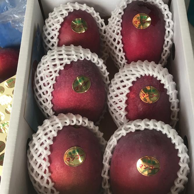 ＜先行予約・数量限定＞宮平農園のマンゴー1.5kg(アーウィン)