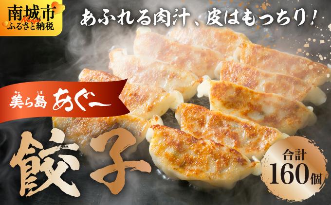 【美ら島あぐ～】餃子（160個入り／8パック×20個入り）