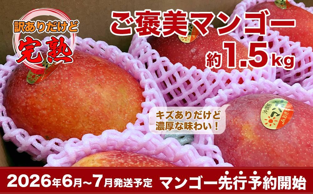 【2026年発送・先行予約】訳あり南城市観光協会イチ推し！ご褒美アップルマンゴー　1.5kg