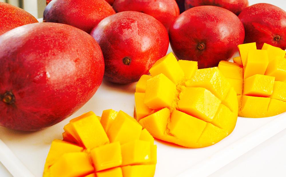 ã2026幎çºéã»å
è¡äºçŽãèš³ããåååžèгå
åäŒã€ãæšãïŒãè€çŸã¢ããã«ãã³ãŽãŒã1.5kg