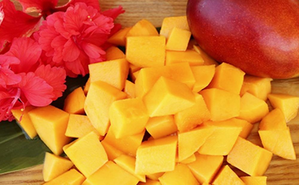 ã2026幎çºéã»å
è¡äºçŽãåååžèгå
åäŒãå³éžïŒãã¬ãã¢ã ã¢ããã«ãã³ãŽãŒçŽ1.5kg