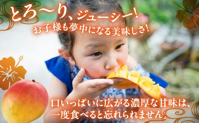 ã2026幎çºéã»å
è¡äºçŽãåååžèгå
åäŒãå³éžïŒãã¬ãã¢ã ã¢ããã«ãã³ãŽãŒçŽ1.5kg I ã¢ããã«ãã³ãŽãŒ ãã£ã·ããŸãã㌠ãã³ãŽãŒ ãŸãã㌠ãã«ãŒã å®ç ã®ãã å®¶åºçš 1500g 1.5kg æ²çžç åååž ãµãããšçŽçš