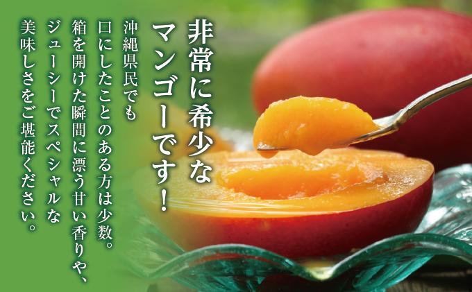 ã2026幎çºéãå®çãã¬ãã¢ã ãã³ãŽãŒçŽ1kgïŒåç²§ç®±ïŒ2ç