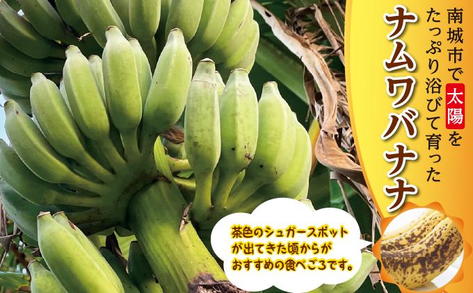 ããã åååž ãã ã¯ããã 10kg I ããã åœç£ãã«ãŒã 10000g 10kg æ²çžç åååž