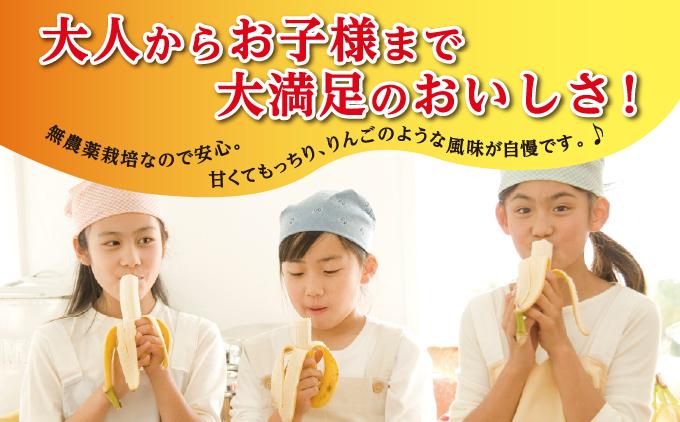 ããã åååž ãã ã¯ããã 10kg I ããã åœç£ãã«ãŒã 10000g 10kg æ²çžç åååž