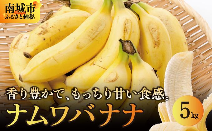 バナナ 南城市 ナムワバナナ 5kg