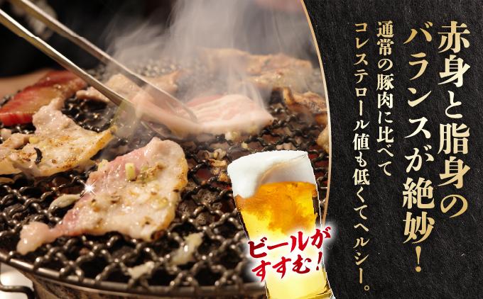 æ²çžãããŒè©ããŒã¹çŒèçšïŒ300gÃ4/1.2kgïŒ