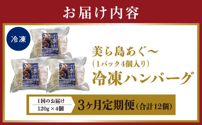 【3ヵ月定期便】【美ら島あぐ～】冷凍ハンバーグ   I  アグー豚 あぐー豚 あぐ～豚 豚肉 ぶた肉 ブランド豚  冷凍 ハンバーグ 定期便 冷凍食品   沖縄県 南城市 ふるさと納税 那覇ミート