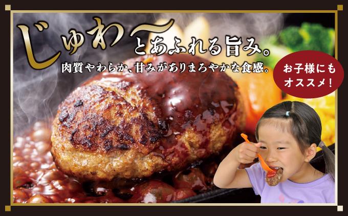 【3ヵ月定期便】【美ら島あぐ～】冷凍ハンバーグ   I  アグー豚 あぐー豚 あぐ～豚 豚肉 ぶた肉 ブランド豚  冷凍 ハンバーグ 定期便 冷凍食品   沖縄県 南城市 ふるさと納税 那覇ミート