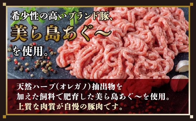 【3ヵ月定期便】【美ら島あぐ～】冷凍ハンバーグ   I  アグー豚 あぐー豚 あぐ～豚 豚肉 ぶた肉 ブランド豚  冷凍 ハンバーグ 定期便 冷凍食品   沖縄県 南城市 ふるさと納税 那覇ミート