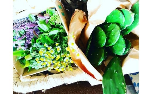 繧キ繝・繧ッ繝ゥ繝ウ驟オ邏繝壹シ繧ケ繝茨シchoukrane KOSO PASTEシ100g I 驟オ邏 繝壹シ繧ケ繝 逋コ驟オ 鬟溷刀 蛛・蠎キ 鄒主ョケ 豐也ク逵 蜊怜沁蟶 縺オ繧九&縺ィ邏咲ィ Vegee labo choukurane