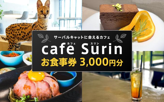 お食事券 3,000円分 cafe Surin ( カフェ スリン ) 南城市   I  食事券 3000円 カフェ ランチ券 レストラン チケット デート ギフト   沖縄県 南城市 ふるさと納税 caf? Surin (カフェ スリン)