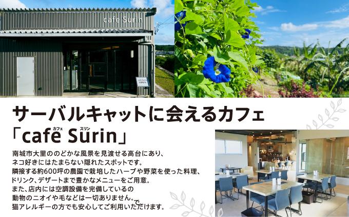 ãé£äºåž 3,000åå cafe Surin ( ã«ãã§ ã¹ãªã³ ) åååž I é£äºåž 3000å ã«ãã§ ã©ã³ãåž ã¬ã¹ãã©ã³ ãã±ãã ããŒã ã®ãã æ²çžç åååž ãµãããšçŽçš caf? Surin (ã«ãã§ ã¹ãªã³)