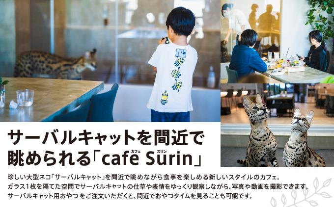 ãé£äºåž 3,000åå cafe Surin ( ã«ãã§ ã¹ãªã³ ) åååž I é£äºåž 3000å ã«ãã§ ã©ã³ãåž ã¬ã¹ãã©ã³ ãã±ãã ããŒã ã®ãã æ²çžç åååž ãµãããšçŽçš caf? Surin (ã«ãã§ ã¹ãªã³)