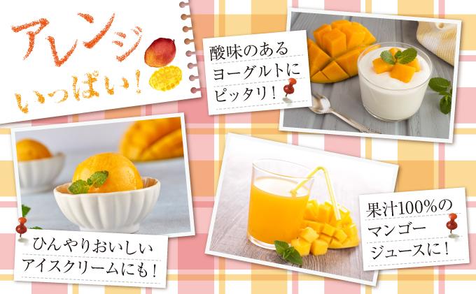 (先行受付)【2026年発送】アップルマンゴー 南城市 約2kg (4～5玉)   I  アップルマンゴー あっぷるまんごー マンゴー まんごー トロピカルフルーツ フルーツ 完熟 ギフト  2kg   沖縄県 南城市 ふるさと納税 しろまファーム