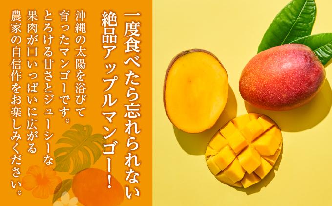 (先行受付)【2026年発送】アップルマンゴー 南城市 約2kg (4～5玉)   I  アップルマンゴー あっぷるまんごー マンゴー まんごー トロピカルフルーツ フルーツ 完熟 ギフト  2kg   沖縄県 南城市 ふるさと納税 しろまファーム