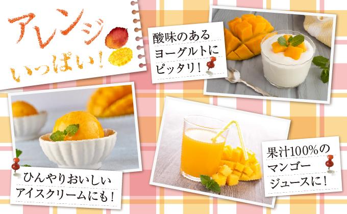 (先行受付)【2026年発送】アップルマンゴー 南城市 約1kg (2～3玉)   I  アップルマンゴー あっぷるまんごー マンゴー まんごー トロピカルフルーツ フルーツ 完熟 ギフト  1kg   沖縄県 南城市 ふるさと納税 しろまファーム