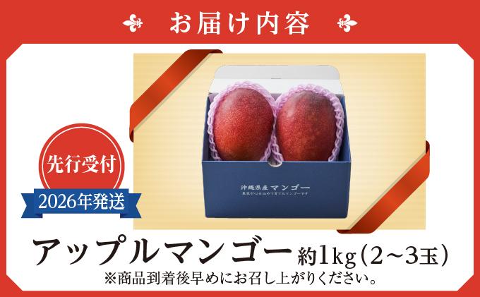 (先行受付)【2026年発送】アップルマンゴー 南城市 約1kg (2～3玉)   I  アップルマンゴー あっぷるまんごー マンゴー まんごー トロピカルフルーツ フルーツ 完熟 ギフト  1kg   沖縄県 南城市 ふるさと納税 しろまファーム