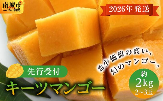 (先行受付)【2026年発送】キーツマンゴー 南城市 約2kg (2～3玉)   I  キーツマンゴー きーつまんごー マンゴー まんごー トロピカルフルーツ フルーツ 贈答用 2000g 2kg   沖縄県 南城市