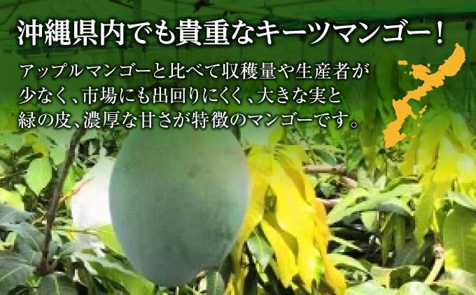 (先行受付)【2026年発送】キーツマンゴー 南城市 約2kg (2～3玉)   I  キーツマンゴー きーつまんごー マンゴー まんごー トロピカルフルーツ フルーツ 贈答用 2000g 2kg    沖縄県 南城市 ふるさと納税 しろまファーム