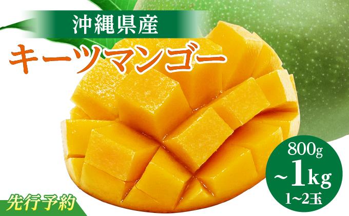 (先行受付)【2026年発送】キーツマンゴー 南城市 約800g～1kg（1～2玉）