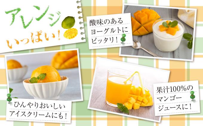 (先行受付)【2026年発送】キーツマンゴー 南城市 約800g～1kg（1～2玉）