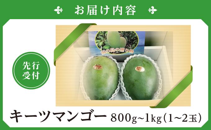 (先行受付)【2026年発送】キーツマンゴー 南城市 約800g～1kg（1～2玉）