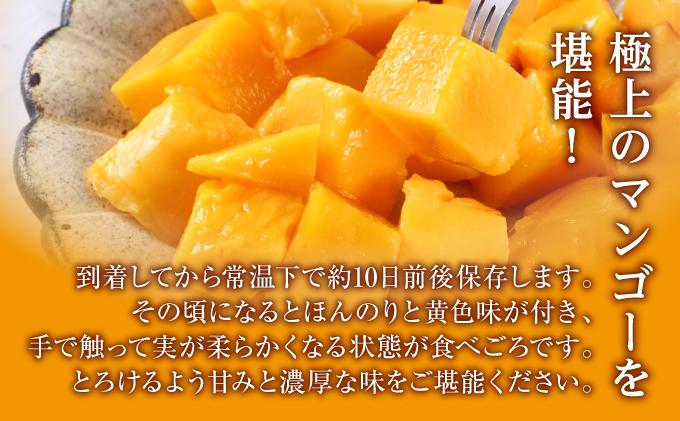 (先行受付)【2026年発送】キーツマンゴー 南城市 約800g～1kg（1～2玉）