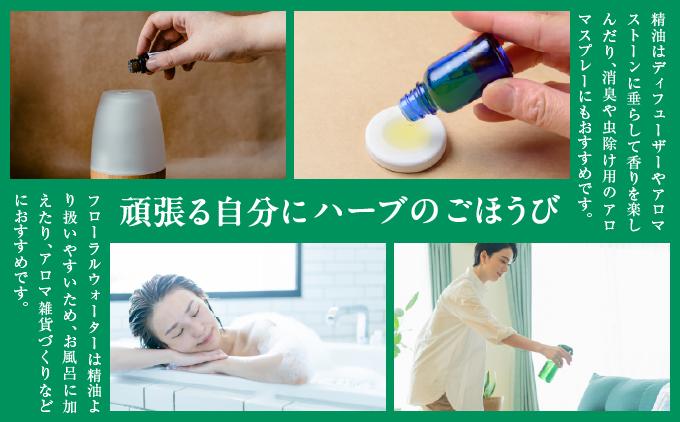 ハーブ香房 花ふうのティートゥリー精油ギフトセット   I  ティートゥリー 精油 アロマ ギフト セット エッセンシャルオイル リラックス   沖縄県 南城市 ふるさと納税 ハーブ香房　花ふう