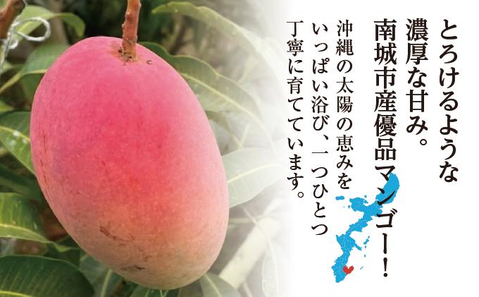 【2026年発送】＜優品＞完熟アップルマンゴー約2kg（化粧箱）3玉～6玉